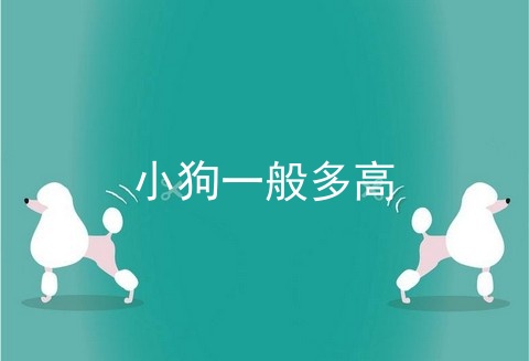 小狗一般多高