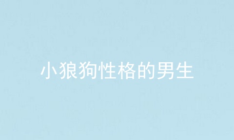 小狼狗性格的男生