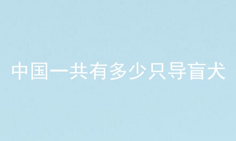 中国一共有多少只导盲犬