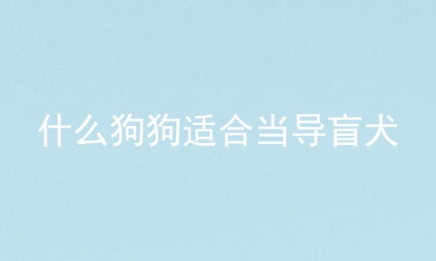 什么狗狗适合当导盲犬