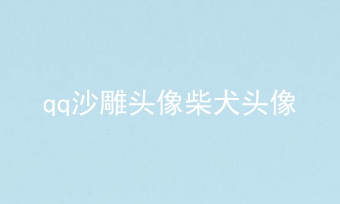 qq沙雕头像柴犬头像
