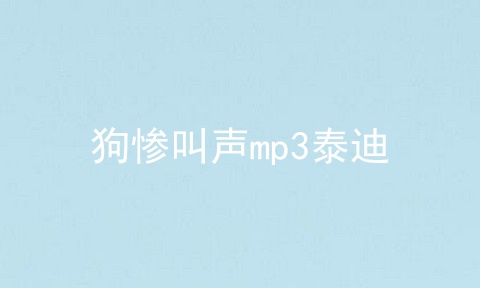 狗惨叫声mp3泰迪