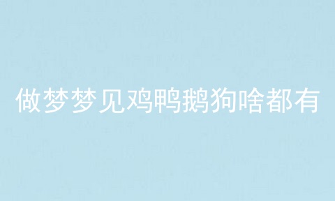 做梦梦见鸡鸭鹅狗啥都有