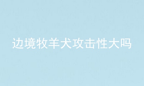 边境牧羊犬攻击性大吗