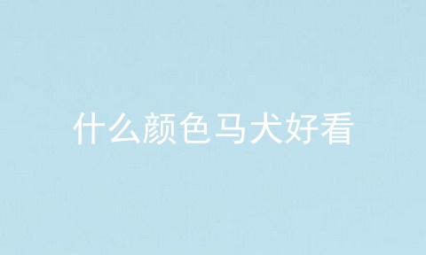 什么颜色马犬好看