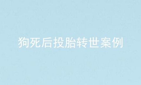 狗死后投胎转世案例