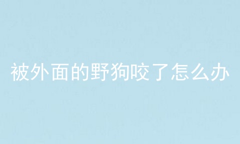 被外面的野狗咬了怎么办