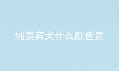 纯贵宾犬什么颜色贵