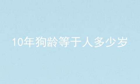 10年狗龄等于人多少岁