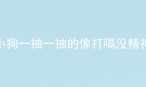 小狗一抽一抽的像打嗝没精神