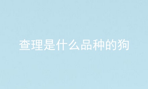 查理是什么品种的狗