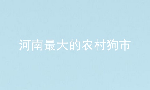 河南最大的农村狗市