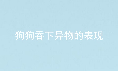 狗狗吞下异物的表现