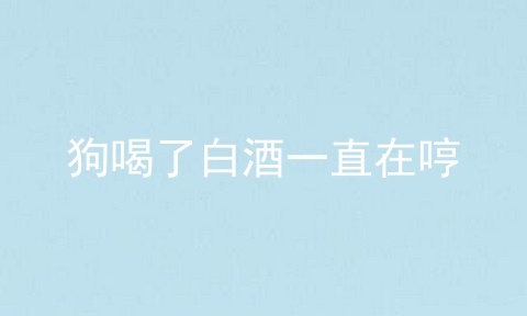 狗喝了白酒一直在哼