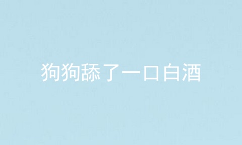 狗狗舔了一口白酒