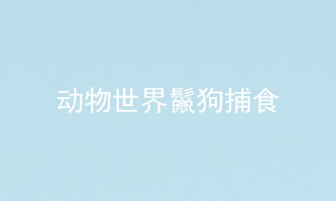 动物世界鬣狗捕食