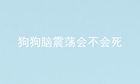 狗狗脑震荡会不会死