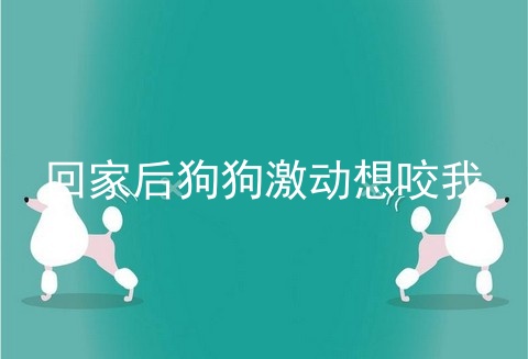 回家后狗狗激动想咬我
