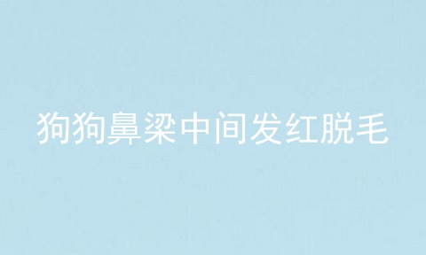 狗狗鼻梁中间发红脱毛