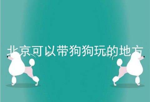 北京可以带狗狗玩的地方