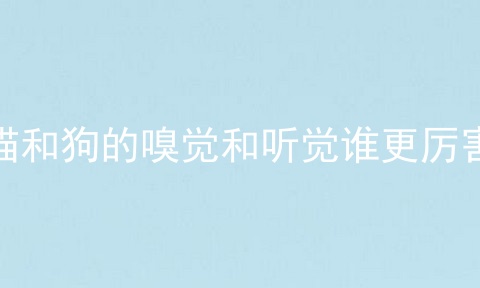 猫和狗的嗅觉和听觉谁更厉害