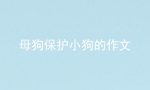 母狗保护小狗的作文