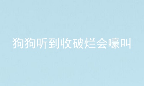 狗狗听到收破烂会嚎叫