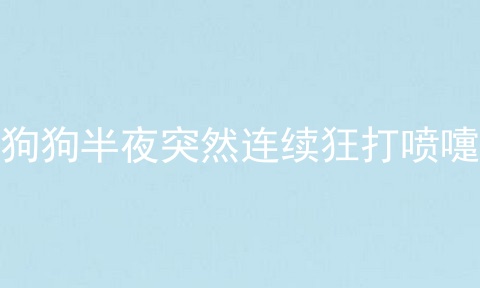 狗狗半夜突然连续狂打喷嚏