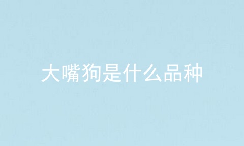 大嘴狗是什么品种