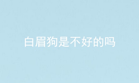 白眉狗是不好的吗