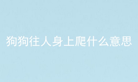 狗狗往人身上爬什么意思