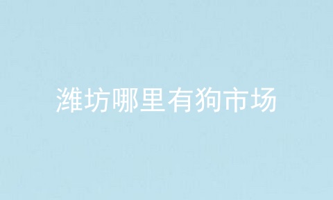 潍坊哪里有狗市场