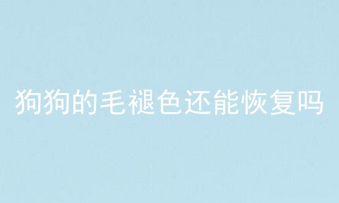狗狗的毛褪色还能恢复吗