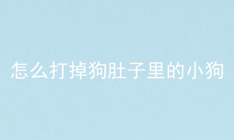 怎么打掉狗肚子里的小狗