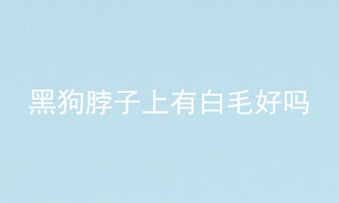 黑狗脖子上有白毛好吗