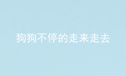 狗狗不停的走来走去