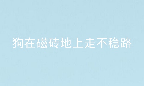 狗在磁砖地上走不稳路
