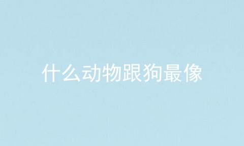 什么动物跟狗最像