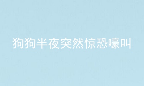狗狗半夜突然惊恐嚎叫