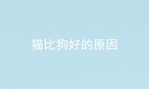 猫比狗好的原因