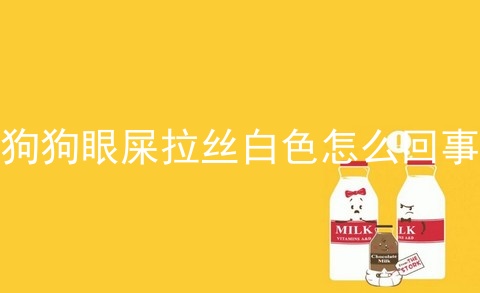 狗狗眼屎拉丝白色怎么回事