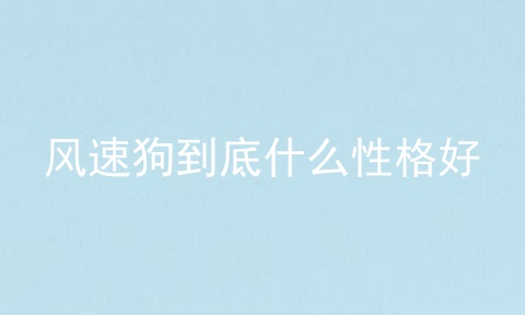 风速狗到底什么性格好