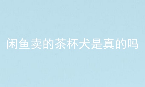 闲鱼卖的茶杯犬是真的吗