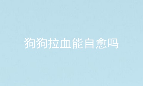 狗狗拉血能自愈吗