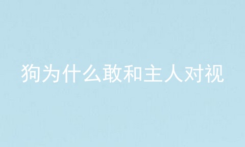 狗为什么敢和主人对视