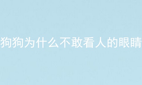 狗狗为什么不敢看人的眼睛
