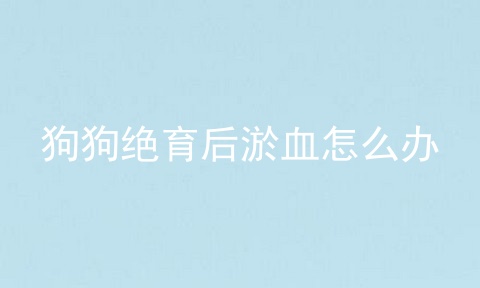 狗狗绝育后淤血怎么办