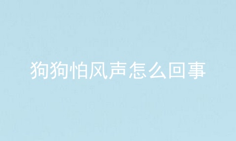 狗狗怕风声怎么回事