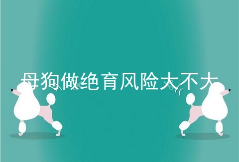 母狗做绝育风险大不大