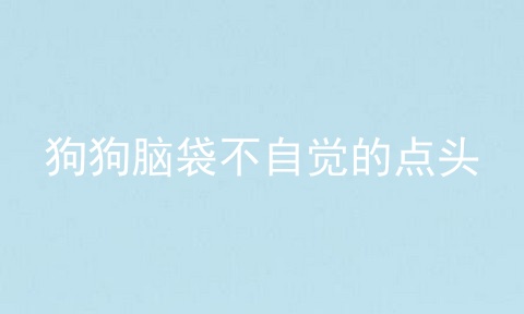狗狗脑袋不自觉的点头